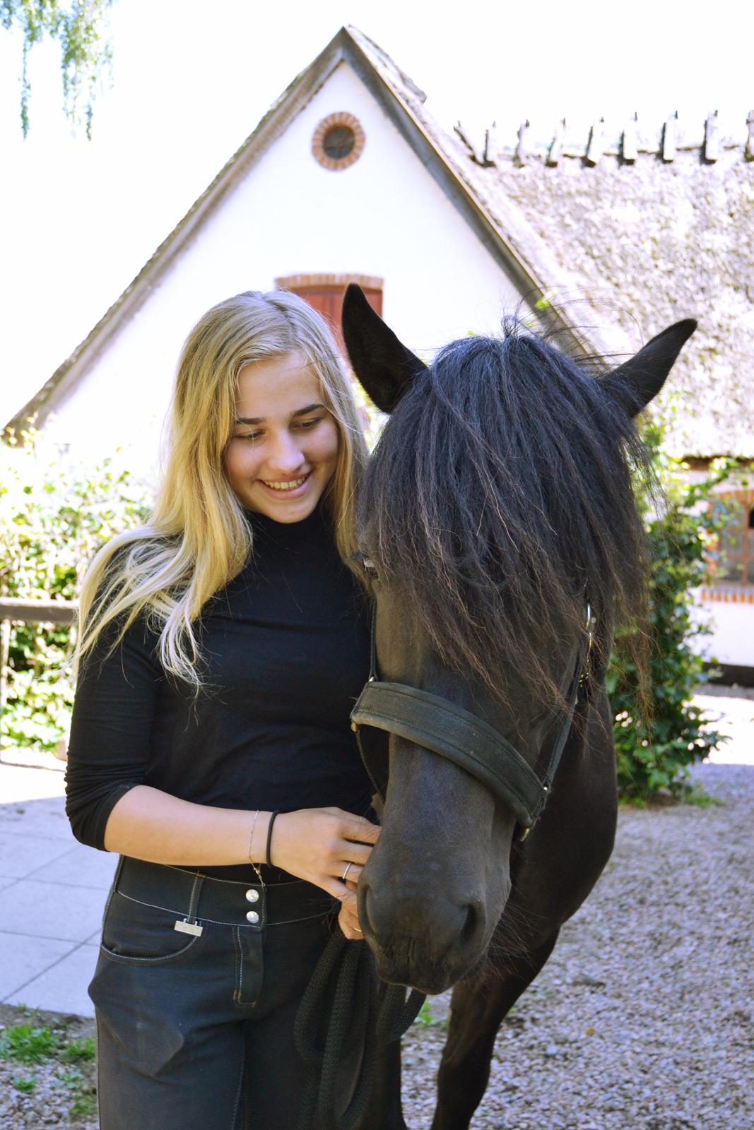 Islænder Aska fra Kringlan  - <3 - Juli 2015 billede 18