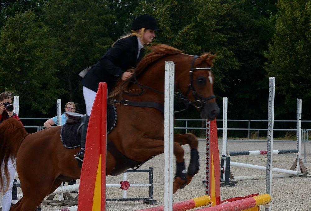 Arabisk fuldblod (OX) Flamme (SOLGT) - d. 2 August 2015 - National show, DM og Cup.  billede 35