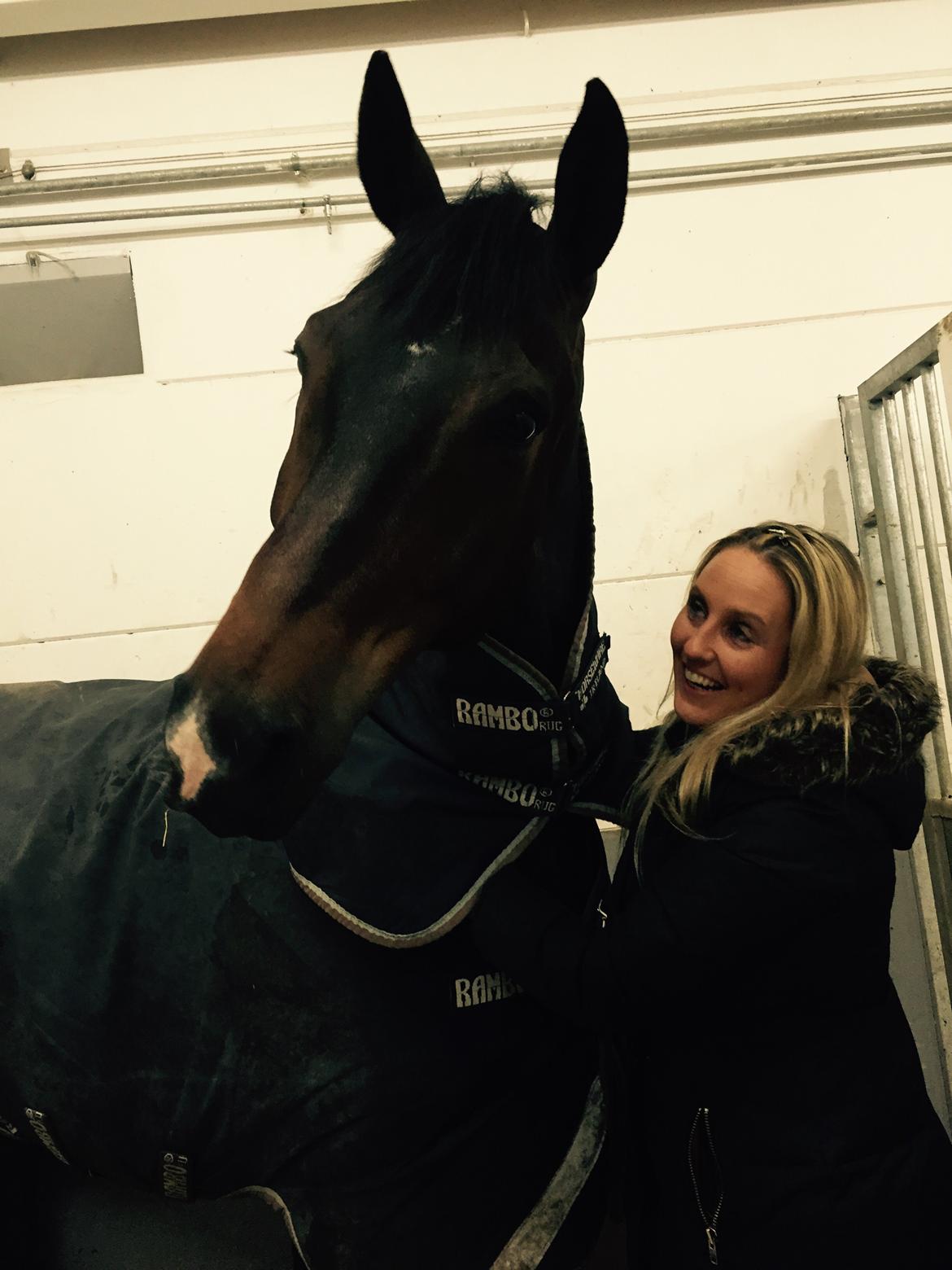 Dansk Varmblod Pyrus R.I.P <3 billede 2