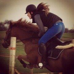 Tysk Sportspony Gizmo billede 14