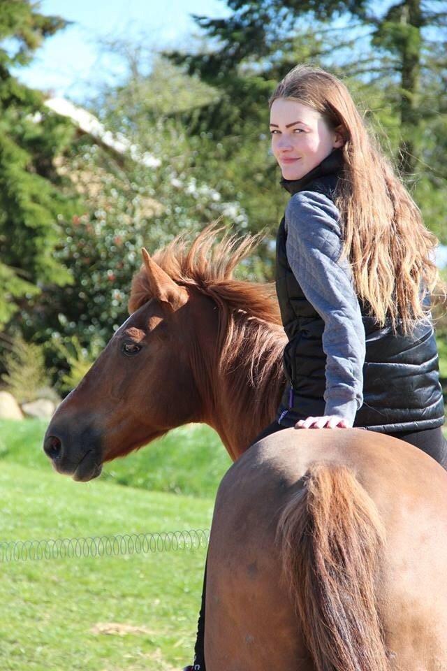 Tysk Sportspony Gizmo billede 17