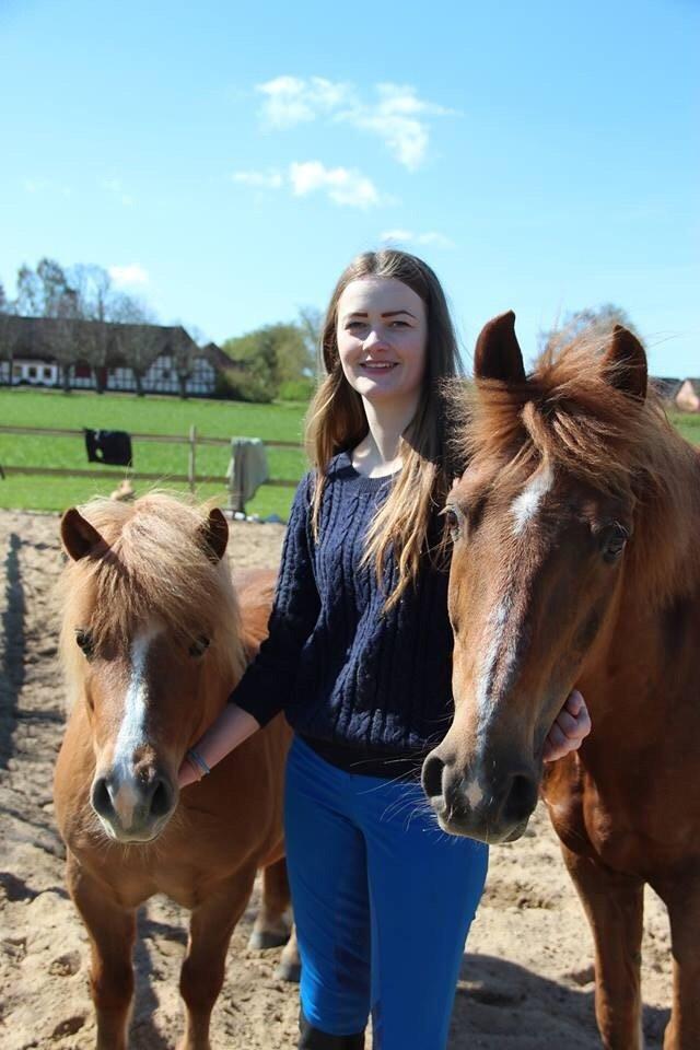 Anden særlig race Mini Max billede 4