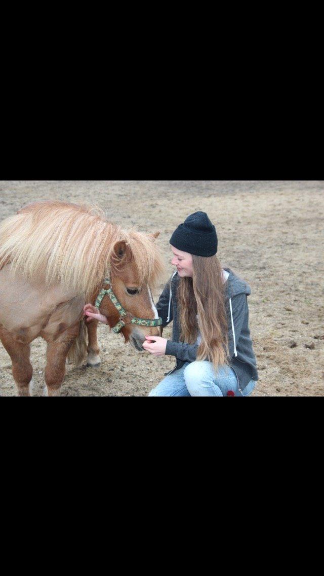 Anden særlig race Mini Max billede 16