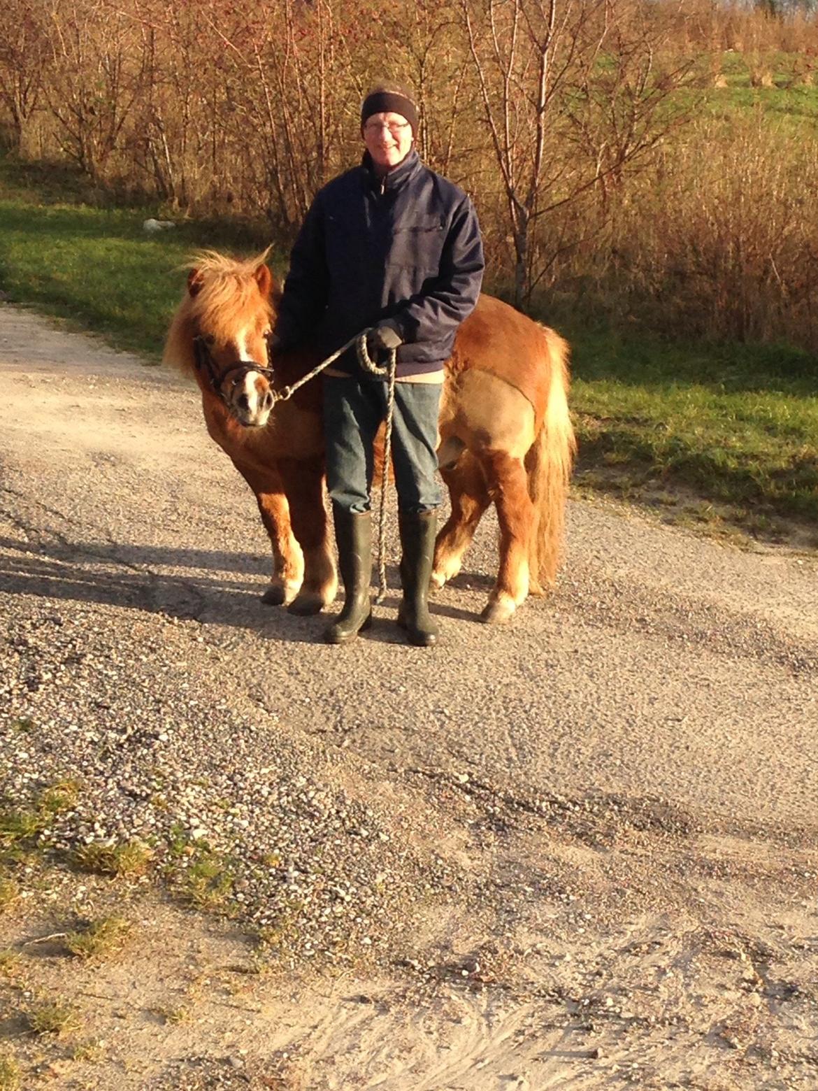 Anden særlig race Mini Max billede 18