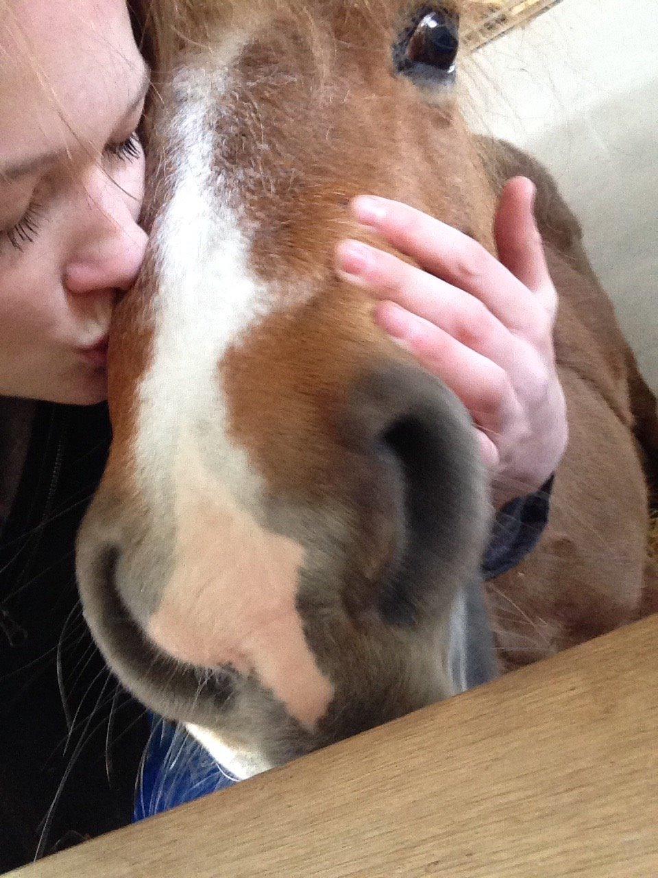 Anden særlig race Mini Max billede 19