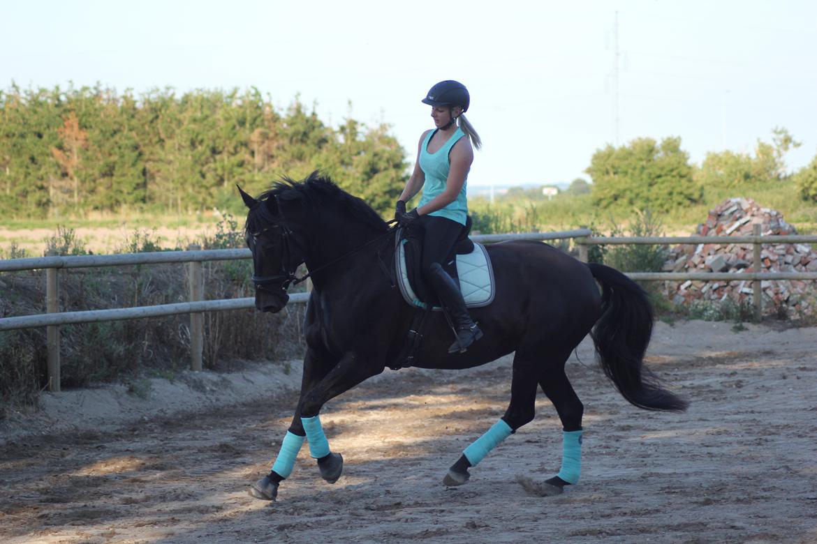 Oldenborg Flying Betty billede 15