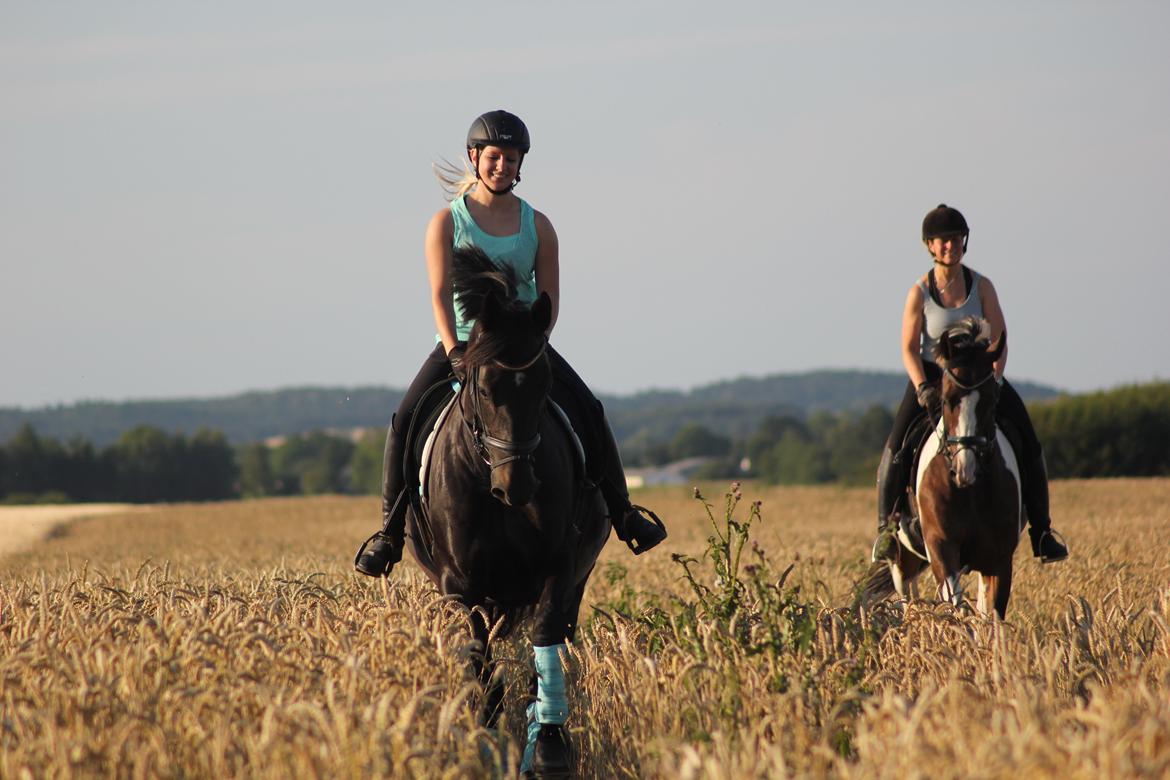 Oldenborg Flying Betty billede 13
