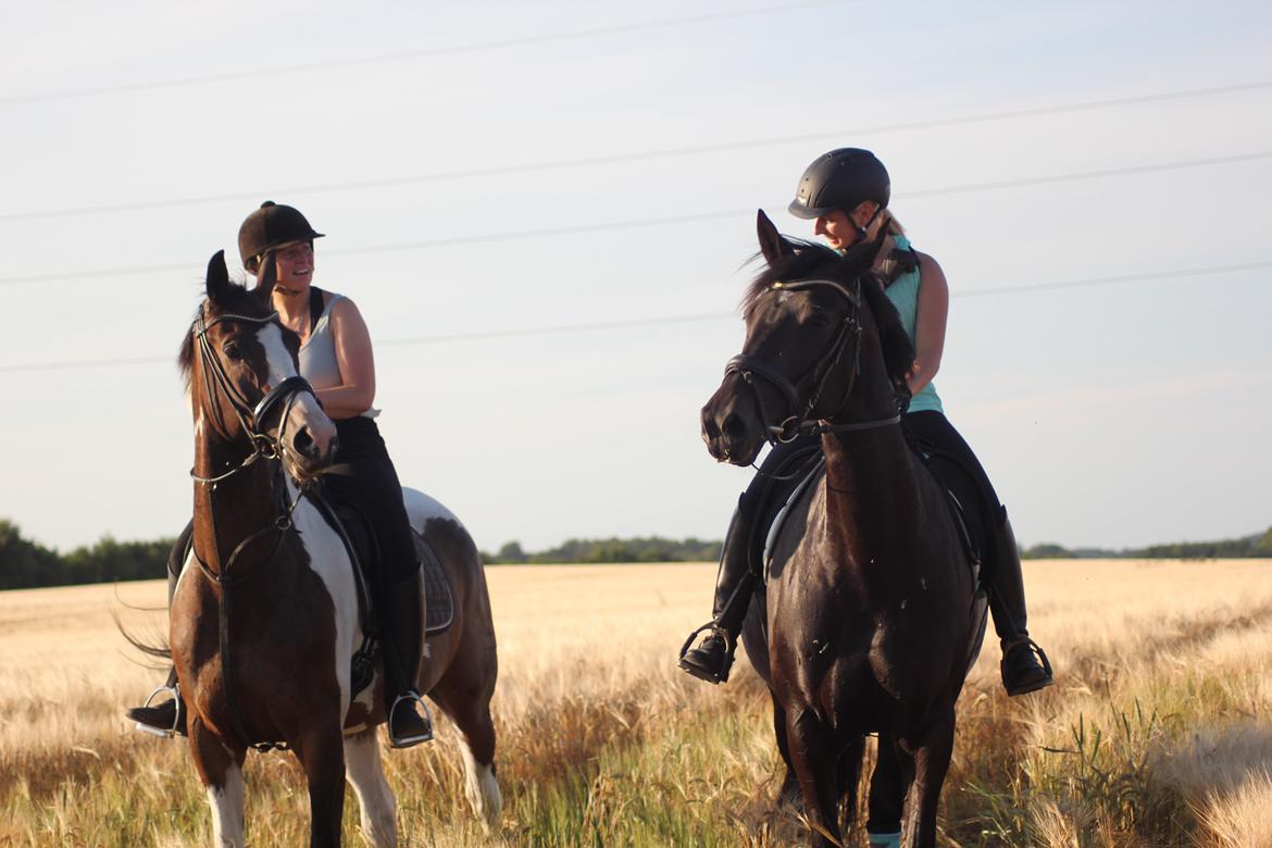 Oldenborg Flying Betty billede 16