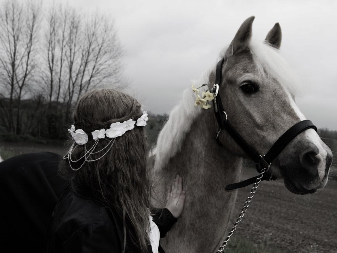 Anden særlig race timon billede 7