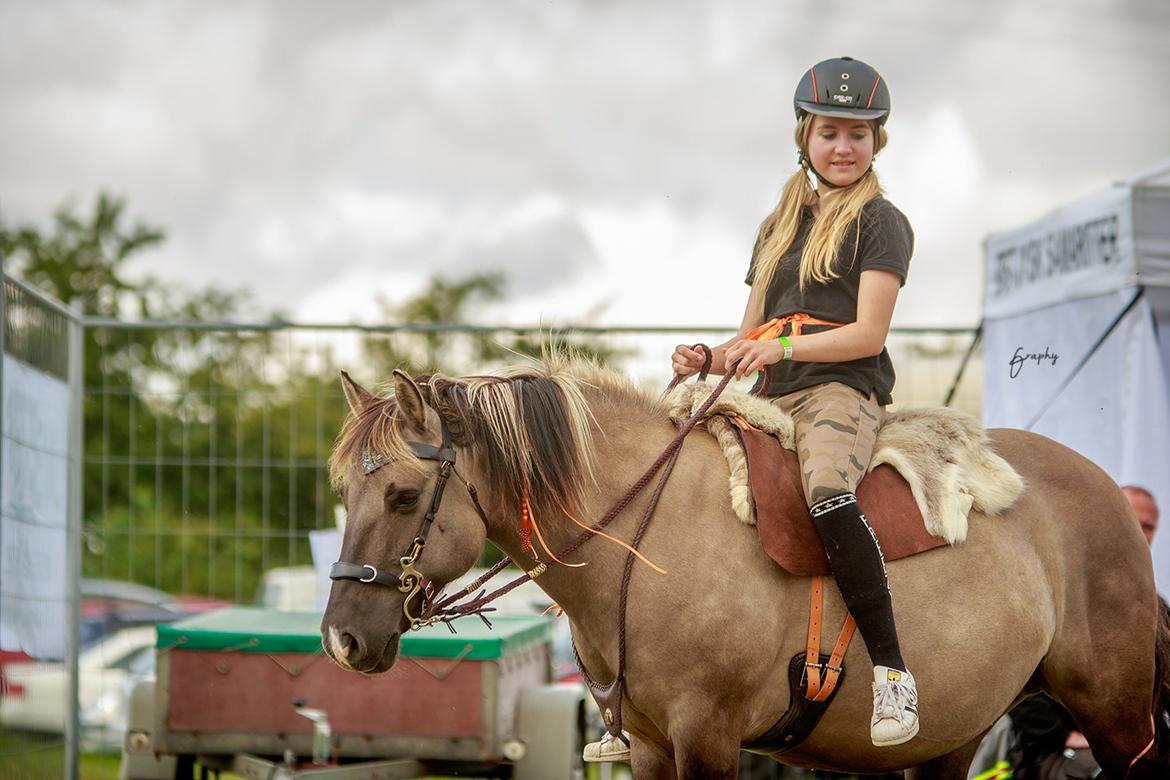 Anden særlig race Perle Solei - Hej og velkommen til min og Perles profil :D billede 1