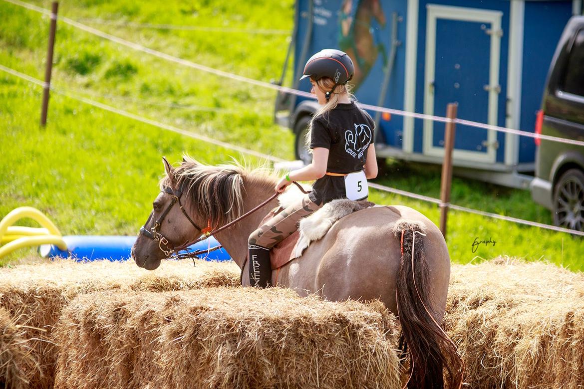 Anden særlig race Perle Solei - Mange tak fordi i kiggede med :D Smid gerne en bedømmelse og kommentar til den lille fis <3 billede 20