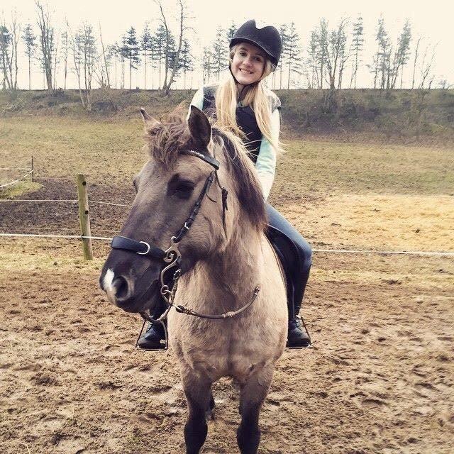 Anden særlig race Perle Solei - Til springundervisning lige før vores lille uheld der resulterede i hjernerystelse :(  billede 8