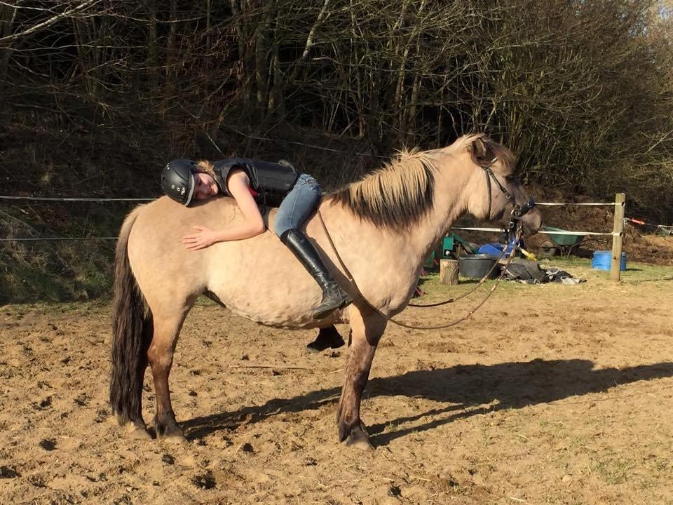 Anden særlig race Perle Solei - Det her kan jeg ikke forklare haha :D billede 10