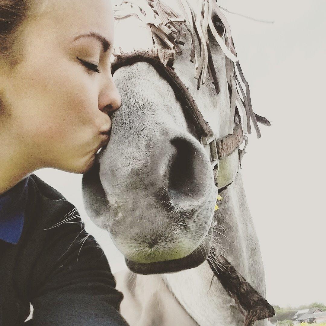 Anden særlig race Alfred *Tidligere hest* billede 8