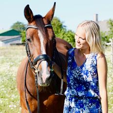 Dansk Varmblod Fantasy [Tidl. part]