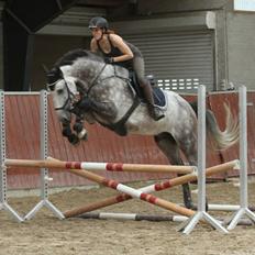 Anden særlig race C.G. Cool Cash