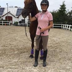 Anden særlig race Lindknuds Madonna