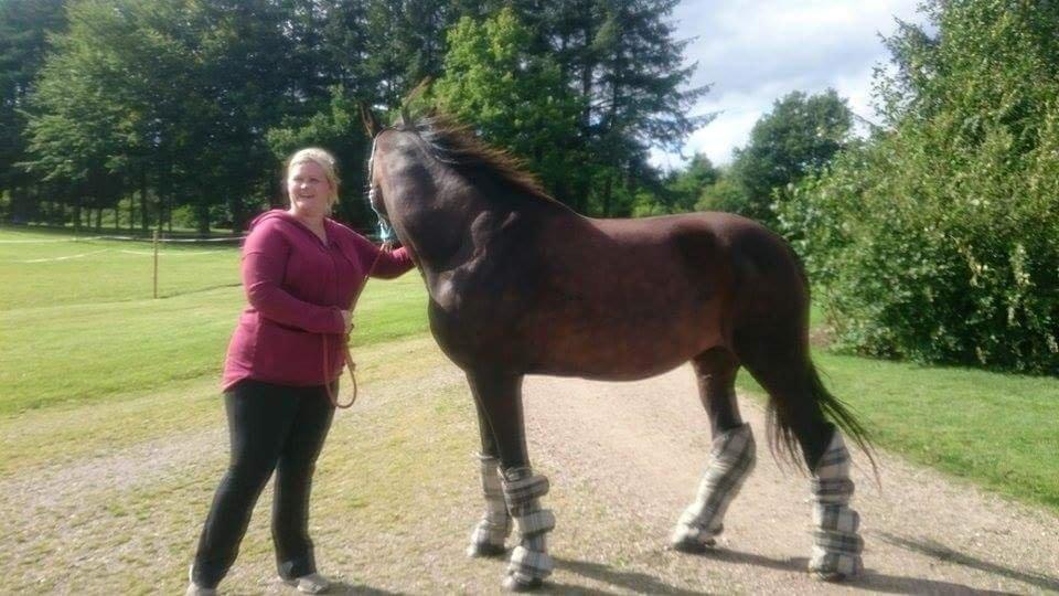 Traver Lady's Chill billede 10