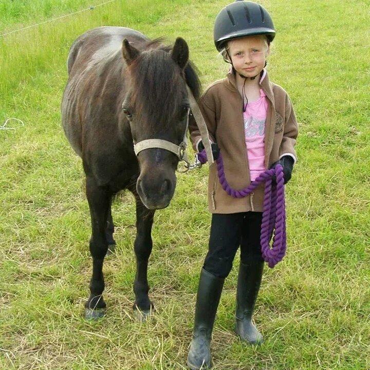 Anden særlig race Engtoft mille (RIP) billede 7