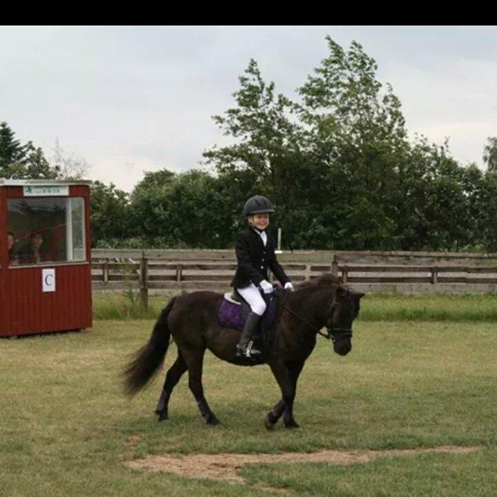 Anden særlig race Engtoft mille (RIP) billede 1