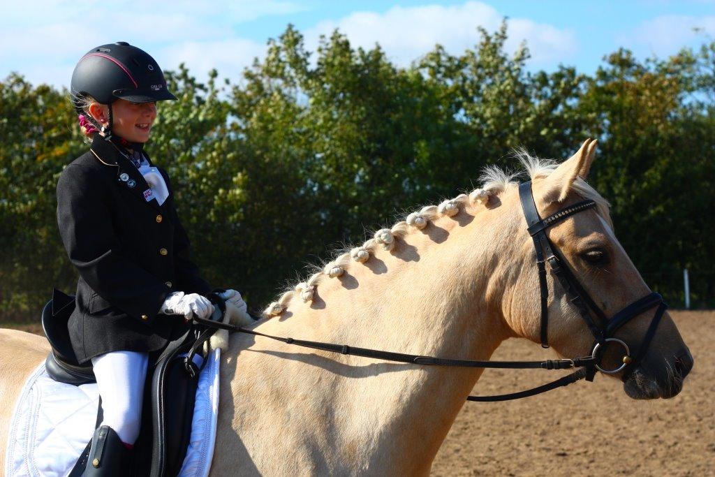 New Forest Calandias Golden Charisma billede 3