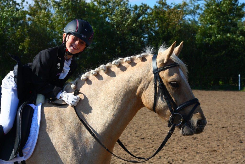 New Forest Calandias Golden Charisma billede 2