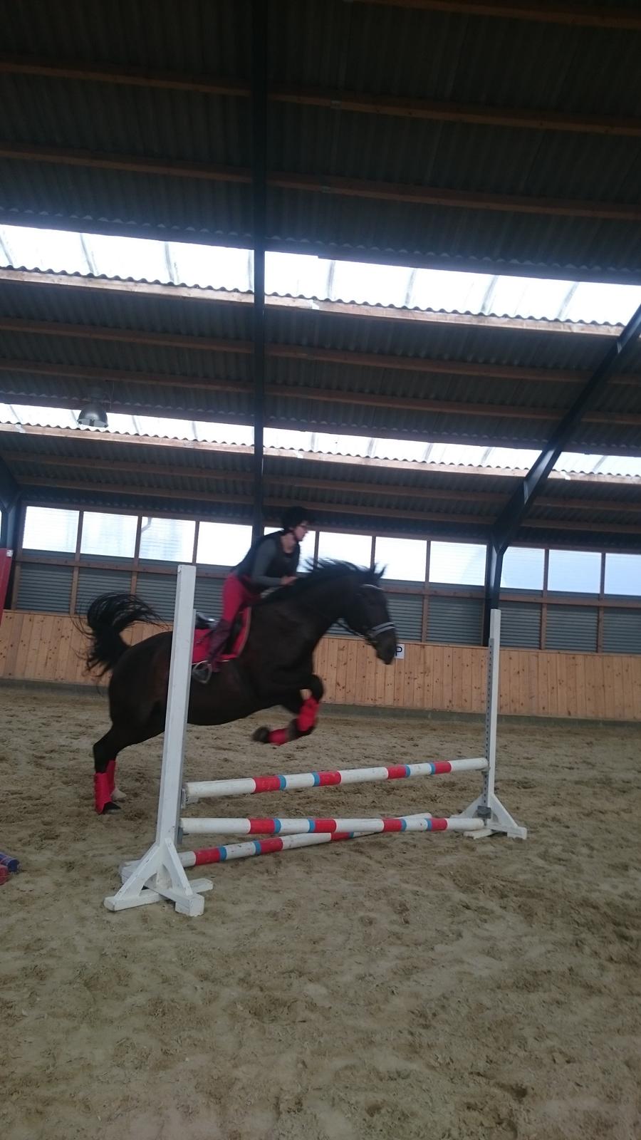 Oldenborg Schousboes Fie billede 7