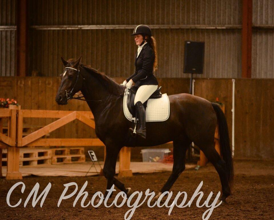 Dansk Varmblod ZACKO - DHE træf - taget af CM photography billede 26