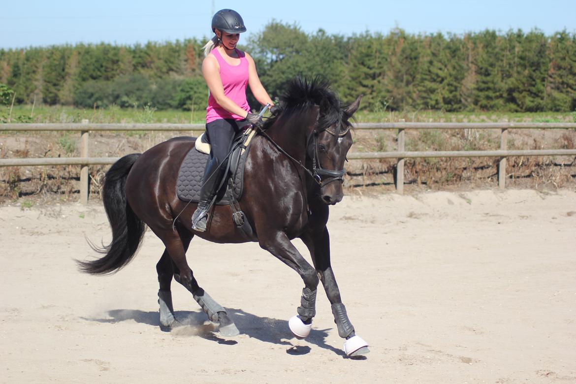 Oldenborg Flying Betty billede 2