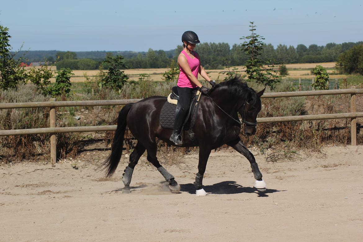 Oldenborg Flying Betty billede 10