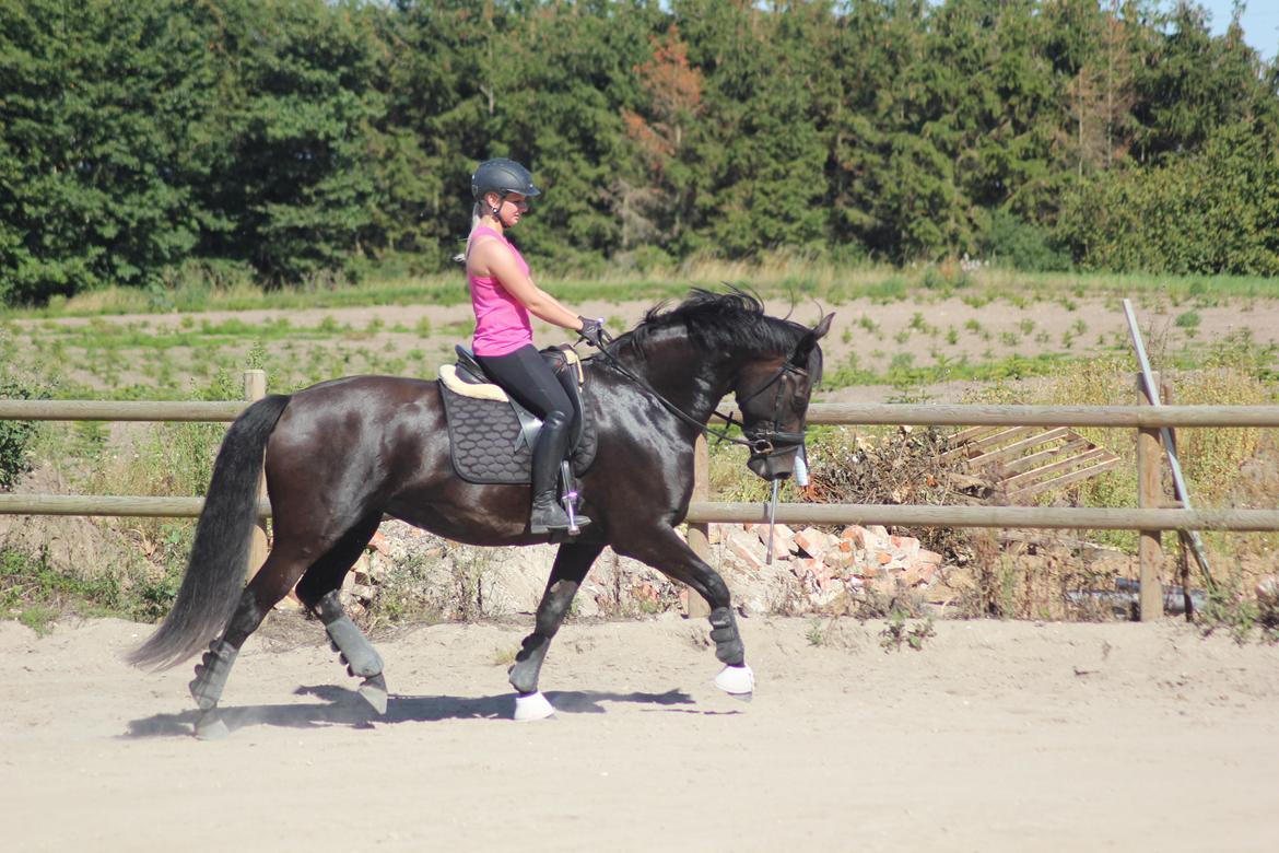 Oldenborg Flying Betty billede 18