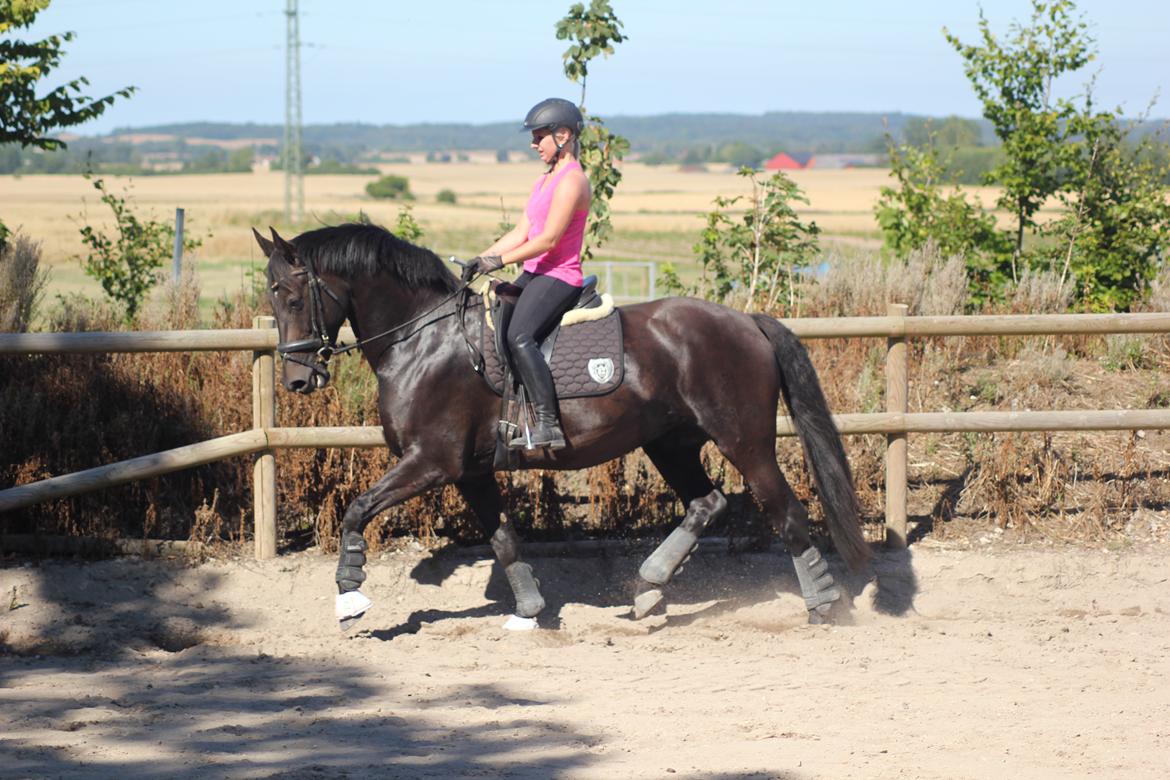 Oldenborg Flying Betty billede 9