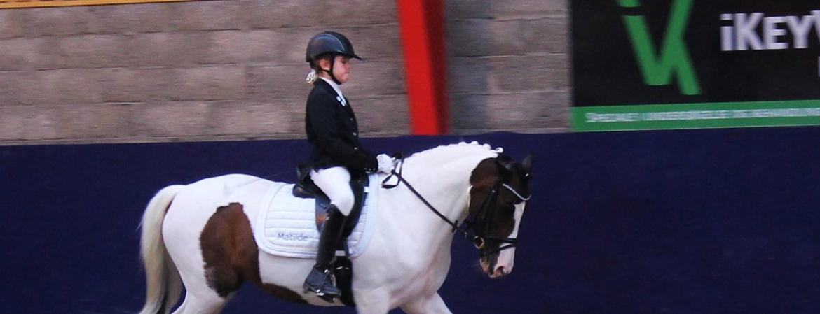 Anden særlig race Soya -  LC3 4/10-2014 billede 13