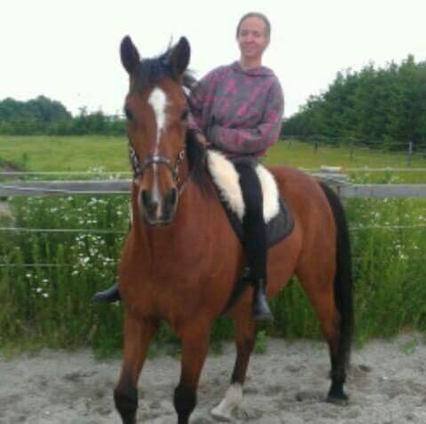 Anden særlig race Hugin billede 9