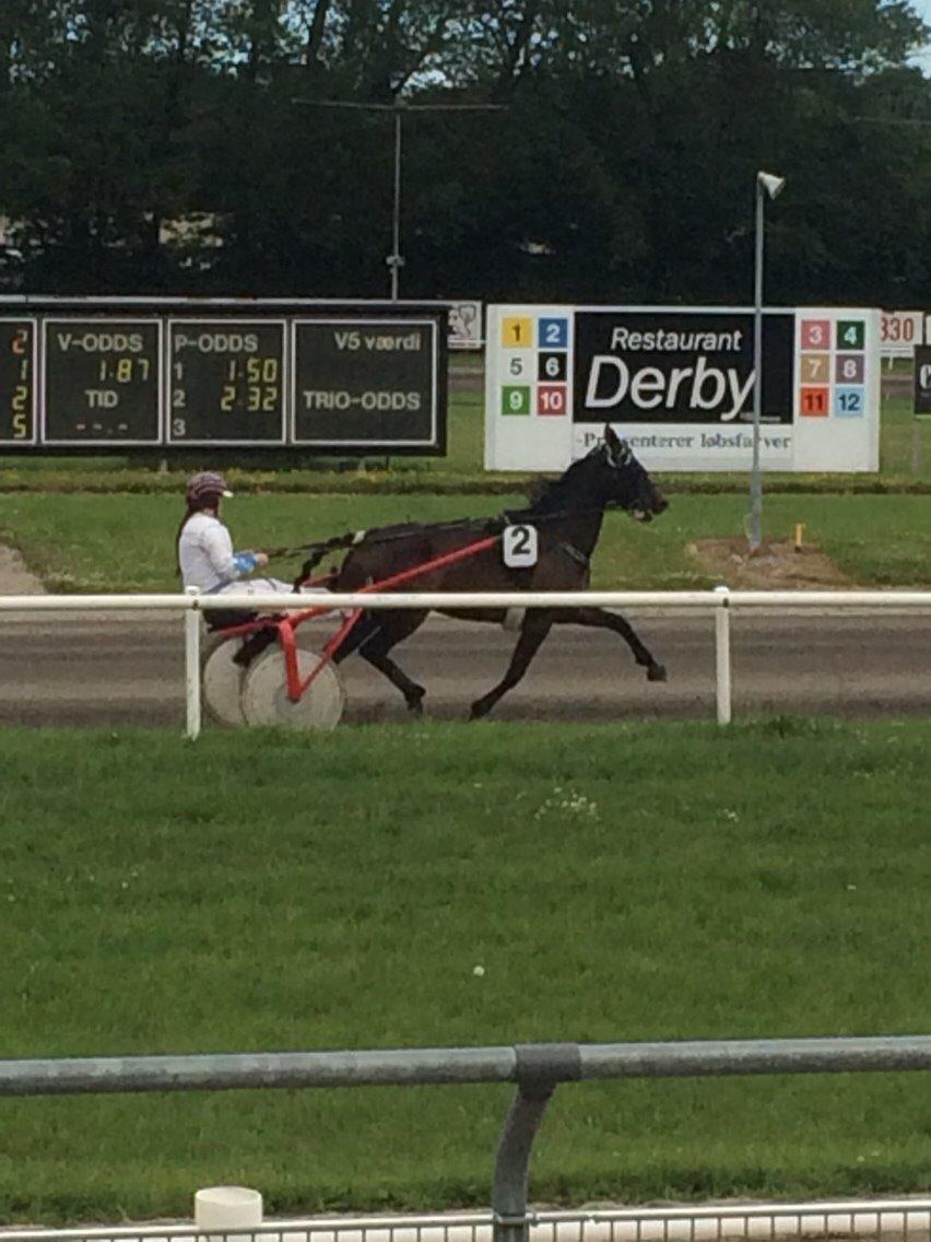 Traver Tessa Toft billede 1