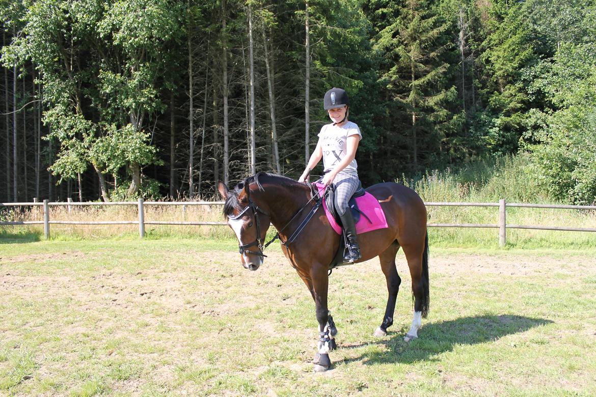 DSP Pour Prestige billede 2