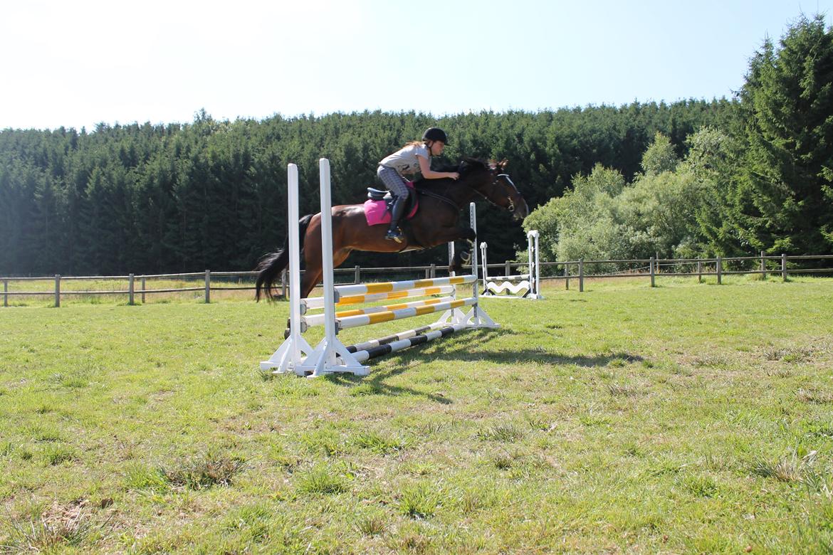 DSP Pour Prestige billede 1