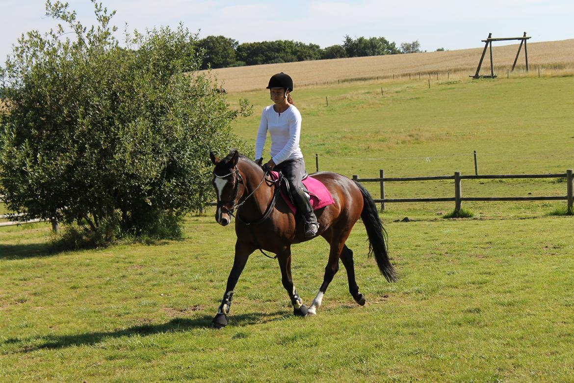 DSP Pour Prestige - Annika og Prestige billede 3