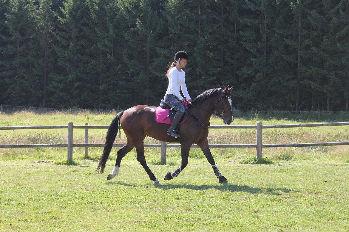 DSP Pour Prestige - Annika og Prestige billede 5