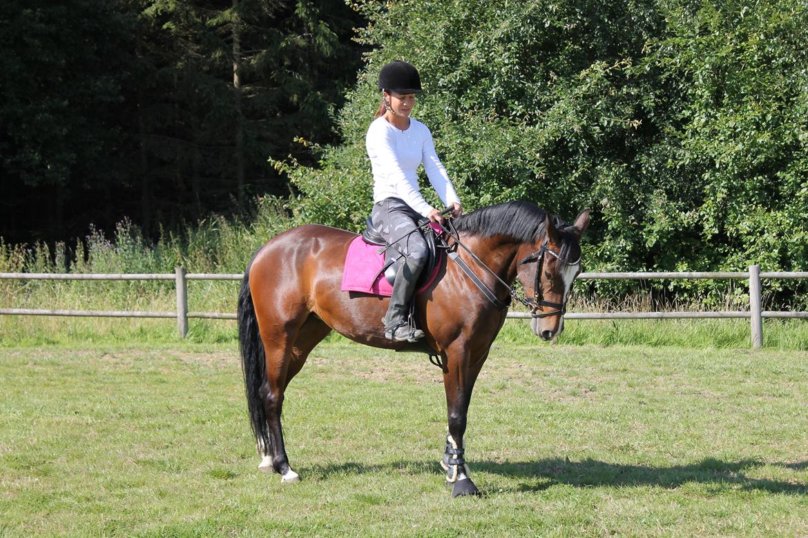 DSP Pour Prestige - Annika og Prestige billede 4