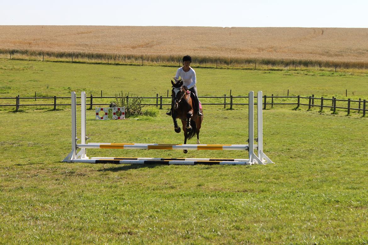 DSP Pour Prestige - Annika og Prestige billede 6