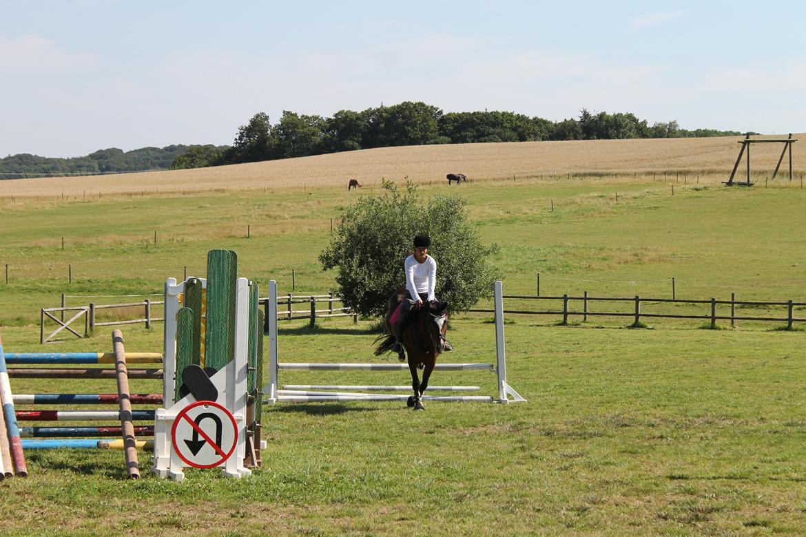 DSP Pour Prestige - Annika og Prestige billede 7