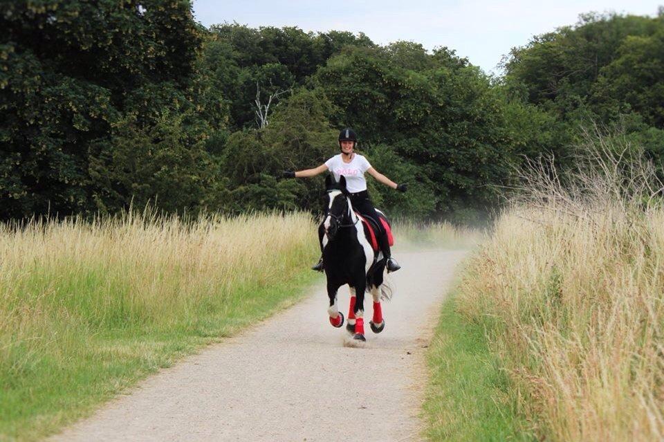 Tinker Charmer billede 3