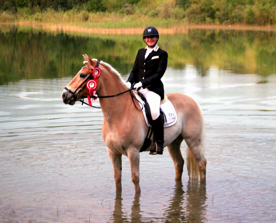 Tyroler Haflinger Elghuset's why not - Vinder af LA2 og LA4 for hest <3 billede 2