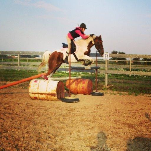 Hollandsk Sportspony Nelly - 110cm er så stolt billede 11