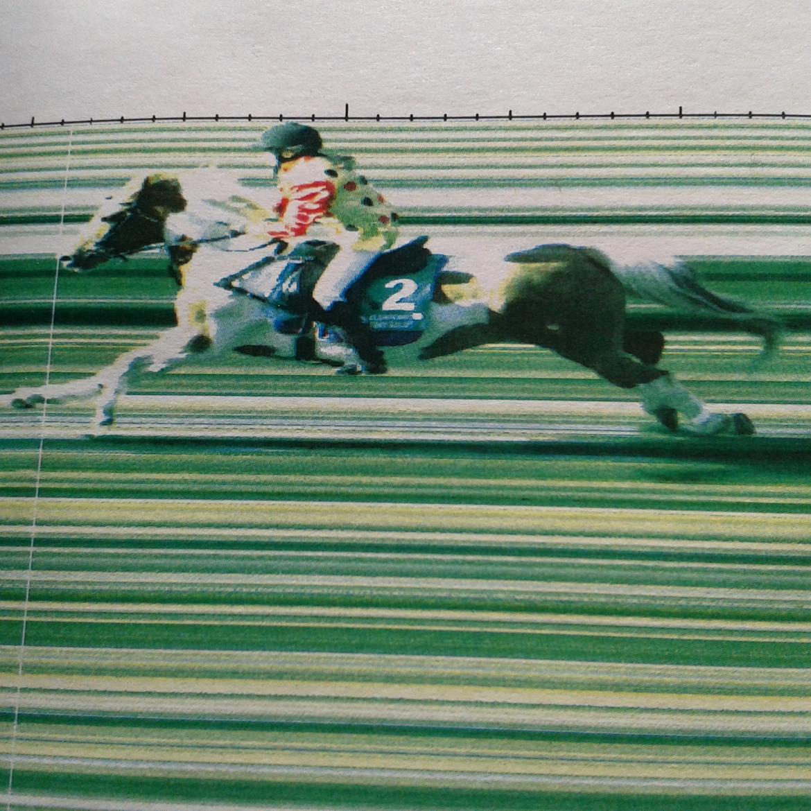 Hollandsk Sportspony Nelly - mål foto fra galop løb 2 plas billede 12