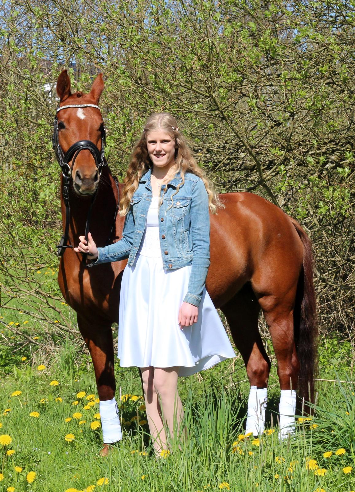 DSP Lykkesholms catla billede 7