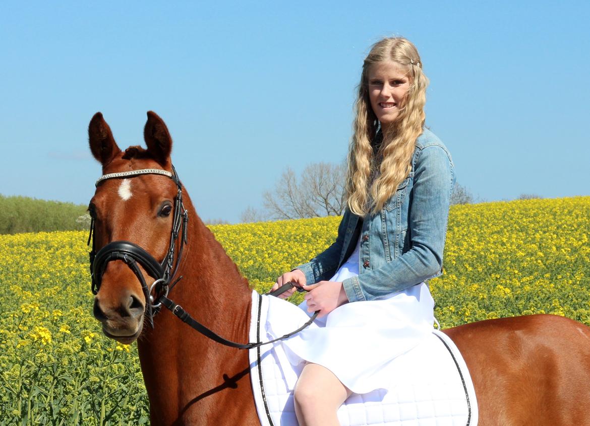 DSP Lykkesholms catla billede 5