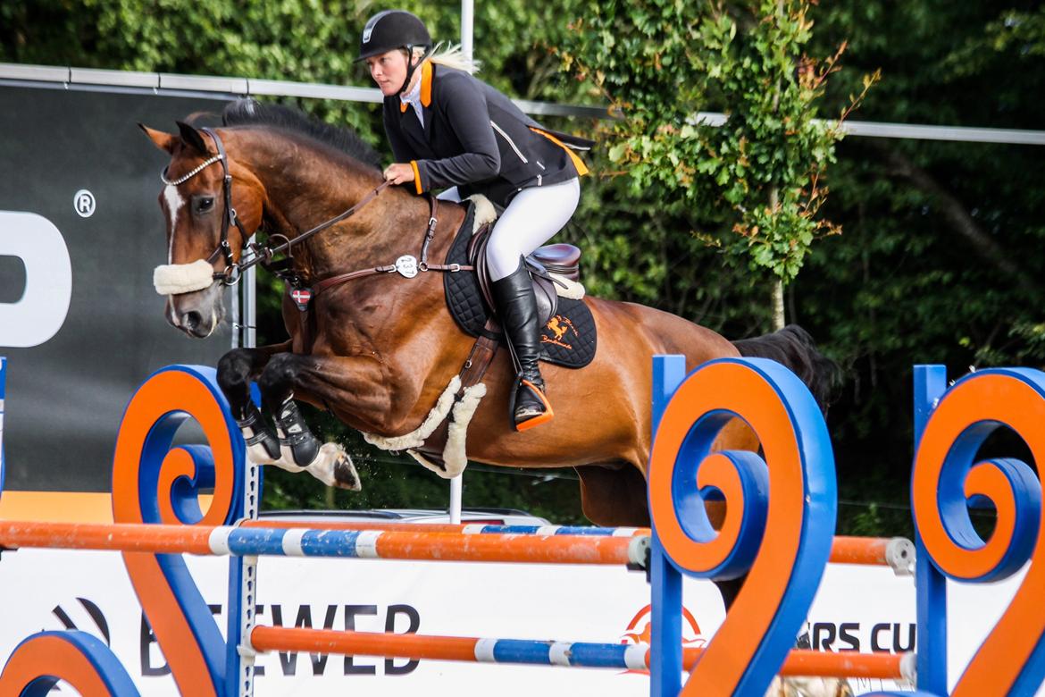 Holstener CHAIO billede 47