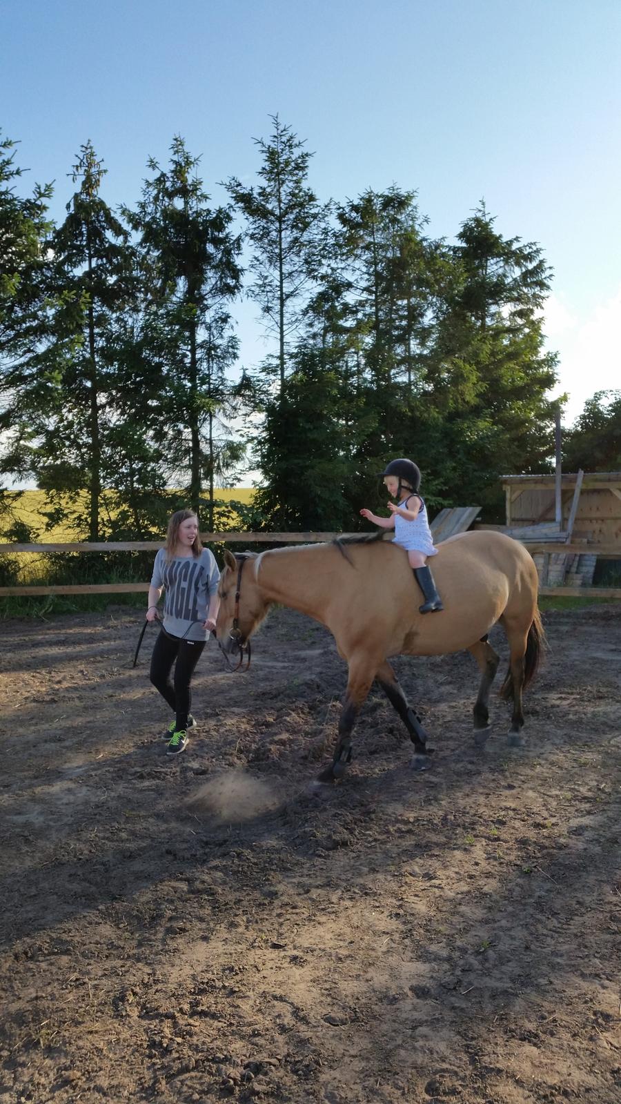 Anden særlig race Lille Kalle billede 11